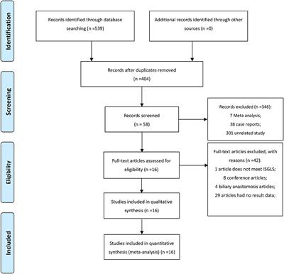 Meta-Analysis of Risk Factors for Bile Leakage After Hepatectomy Without Biliary Reconstruction